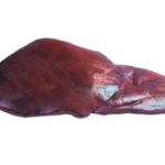 Screenshot 2024-05-10 150737